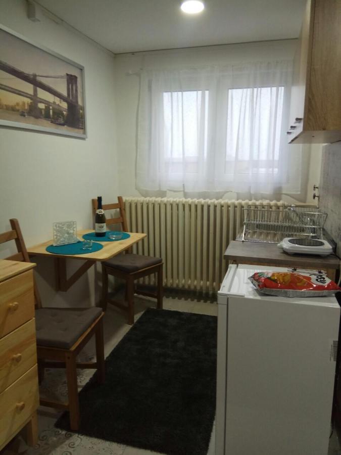 Tatjanina Garsonjera Apartment Subotica Luaran gambar