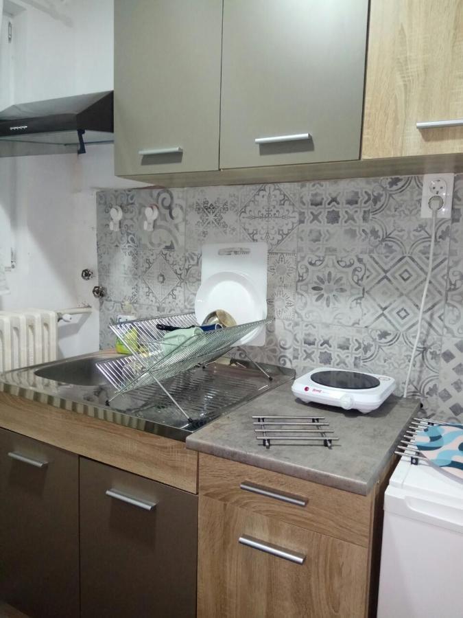 Tatjanina Garsonjera Apartment Subotica Luaran gambar